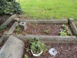 image of grave number 726038